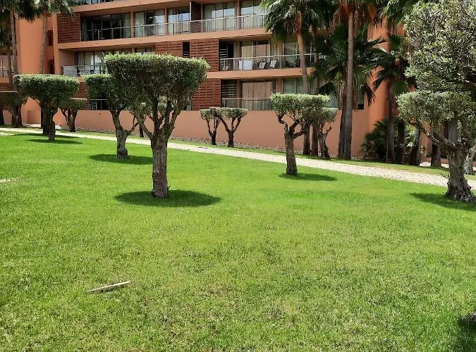 Salgados By The 阿尔布费拉